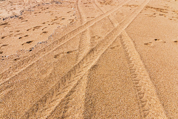 Fototapeta na wymiar Vehicles Tire Tracks Crossing Over Leaving Patterns on Beach