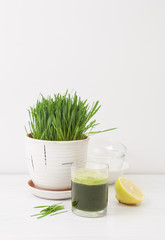 wheat grass juice on table and lemon