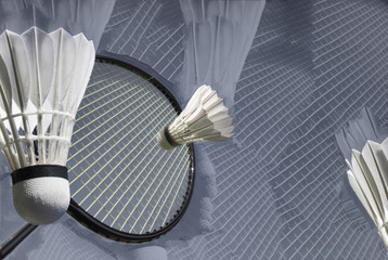 Closeup Abstract Badminton Sport