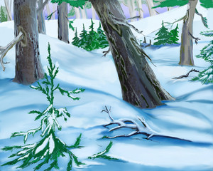 Snowdrifts  in a Winter Forest