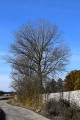 Paisajes montañosos con caminos. 