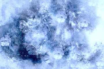 Fototapeta na wymiar Flovers freezed under ice, abstract computer collage, winter motive.