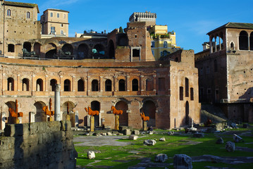 Obraz premium Ruins of Trajan's Market, Rome