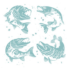 Set of predatory pike.