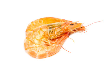 boiled prawn on white background
