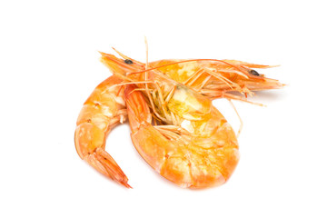 boiled prawn on white background