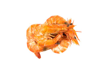 prawn on white background
