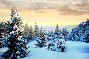 Morgenstimmung - märchenhaft verschneite Winterlandschaft
