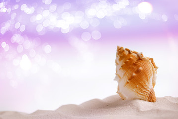 Obraz na płótnie Canvas bright tropical sea shell on white sand with festive glitter bac