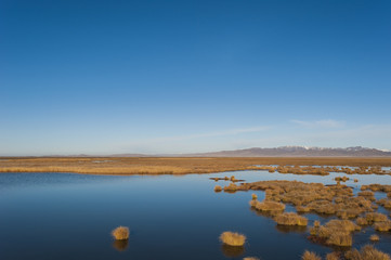 Huahu (Flower Lake), an important wetland area which supports a large array of biodiversity on the Tibetan plateau, Sichuan Province, China