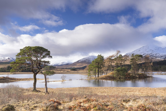 Loch Tulla, Bridge of Orchy, Glencoe, Argyll and Bute, Scotland