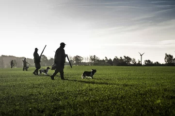 Papier Peint photo Lavable Chasser Chasseur avec chien de chasse se promène dans le champ