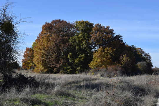 Paisajes monta&ntilde;osos con caminos. 