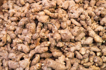 Fresh ginger roots