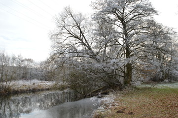 Flussufer bei Frost