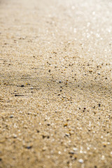 Fototapeta na wymiar Close up on the sand on the beach