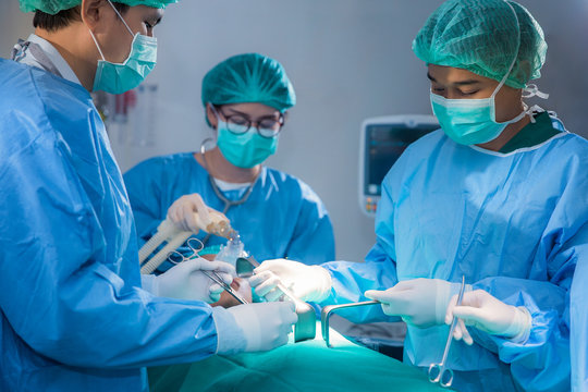 group of veterinarian surgery in operation room take with art li