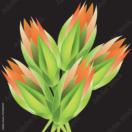 "Flower buds" Stock image and royalty-free vector files on Fotolia.com