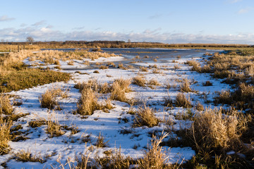 Łąki nad Narwią © podlaski49