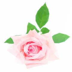 Low poly illustration Pink blooming rose bud with green leaves isolated on white background