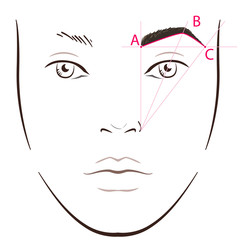 How to paint the eyebrows. Vector trendy makeup brows scheme.