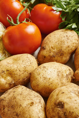 Potatoes and tomatoes just harvested