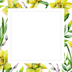 Daffodils and green grass and pussy-willow on white flower background. Floral greeting card. Watercolor invitation card template. May be used for wedding, Holyday or birthday greeting card.