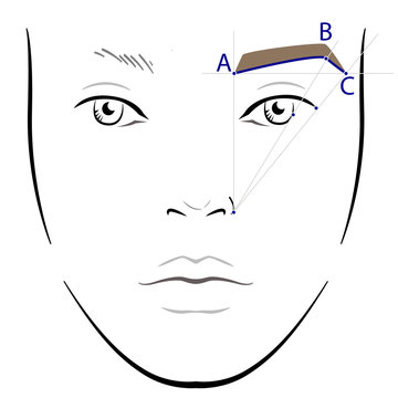 How to paint the eyebrows. Vector trendy makeup brows scheme.