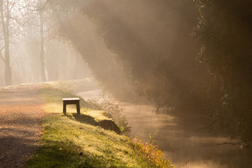 Fototapeta na wymiar A bench under sunbeam in a misty and sunny winter day
