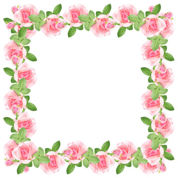 Beautiful floral pattern of pink roses 