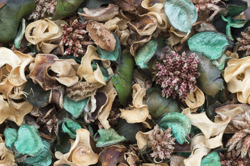 Green Pot Pourri