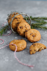 oatmeal cookies on a gray background