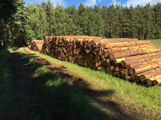 Holz Polter