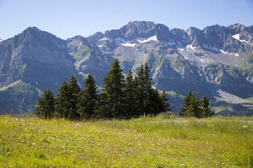 Green alpine landscape in summer, view over Swiss Alps mountain massif, Canton du Valais, Switzerland