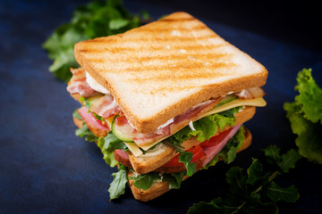 Big Club sandwich with ham, bacon, tomato, cucumber, cheese, eggs and herbs on dark background