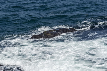 Fototapeta premium Moss covered rock and reef