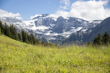 Obraz premium Bucolic green summer alpine landscape, Swiss Alps mountain massif, canton du Valais, Switzerland