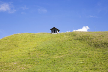Obraz premium Bucolic green summer alpine landscape, Swiss Alps mountain massif, canton du Valais, Switzerland