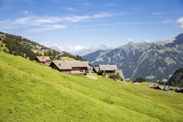 Fototapeta na wymiar Bucolic green summer alpine landscape, Swiss Alps mountain massif, canton du Valais, Switzerland