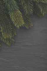 Christmas tree branches on a slate background