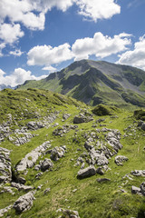 Bucolic green summer alpine landscape, Swiss Alps mountain massif, canton du Valais, Switzerland