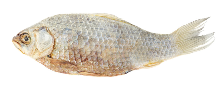 Dried fish crucian carp isolated on white