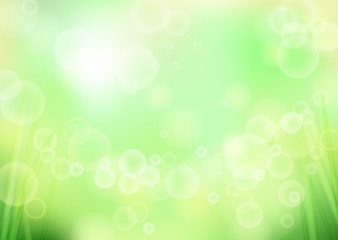 Naklejka premium Hintergrund - Bokeh grün
