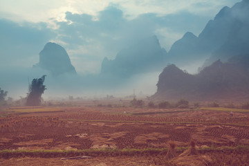 Vietnamese landscapes
