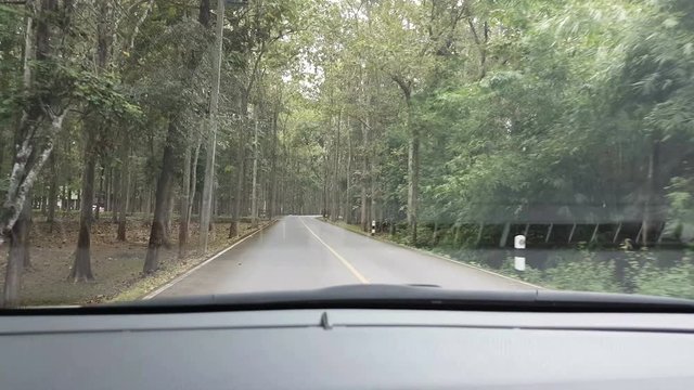 Point of view front driving a car or vehicle in a forest in Thailand, real time
