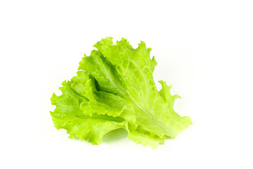 Salad leaf. Lettuce isolated on white background
