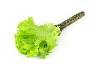 Salad leaf. Lettuce isolated on white background