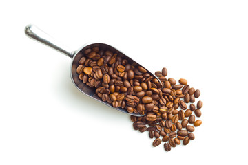 Coffee beans in metal scoop.