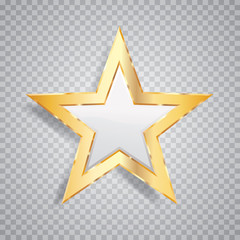 one gold white star