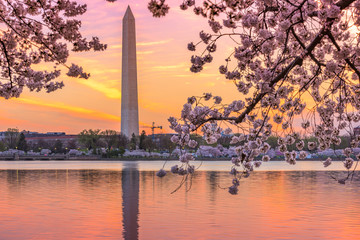 Spring in DC